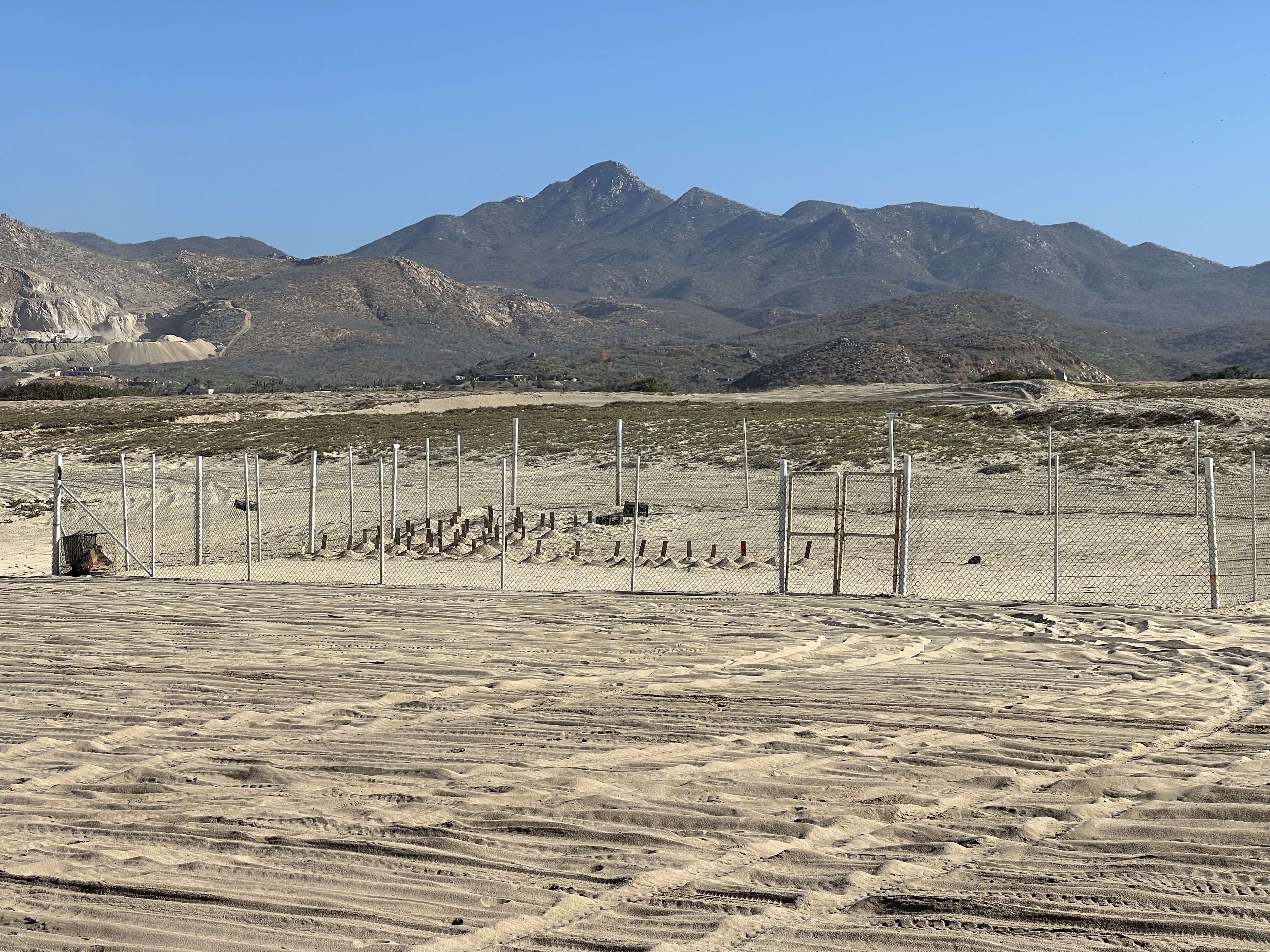 ./2024/13 - Cabo/IMG_4451.jpg